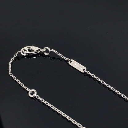 [⭐Aura]CLOVER PIETERSITE SILVER LONG NECKLACE