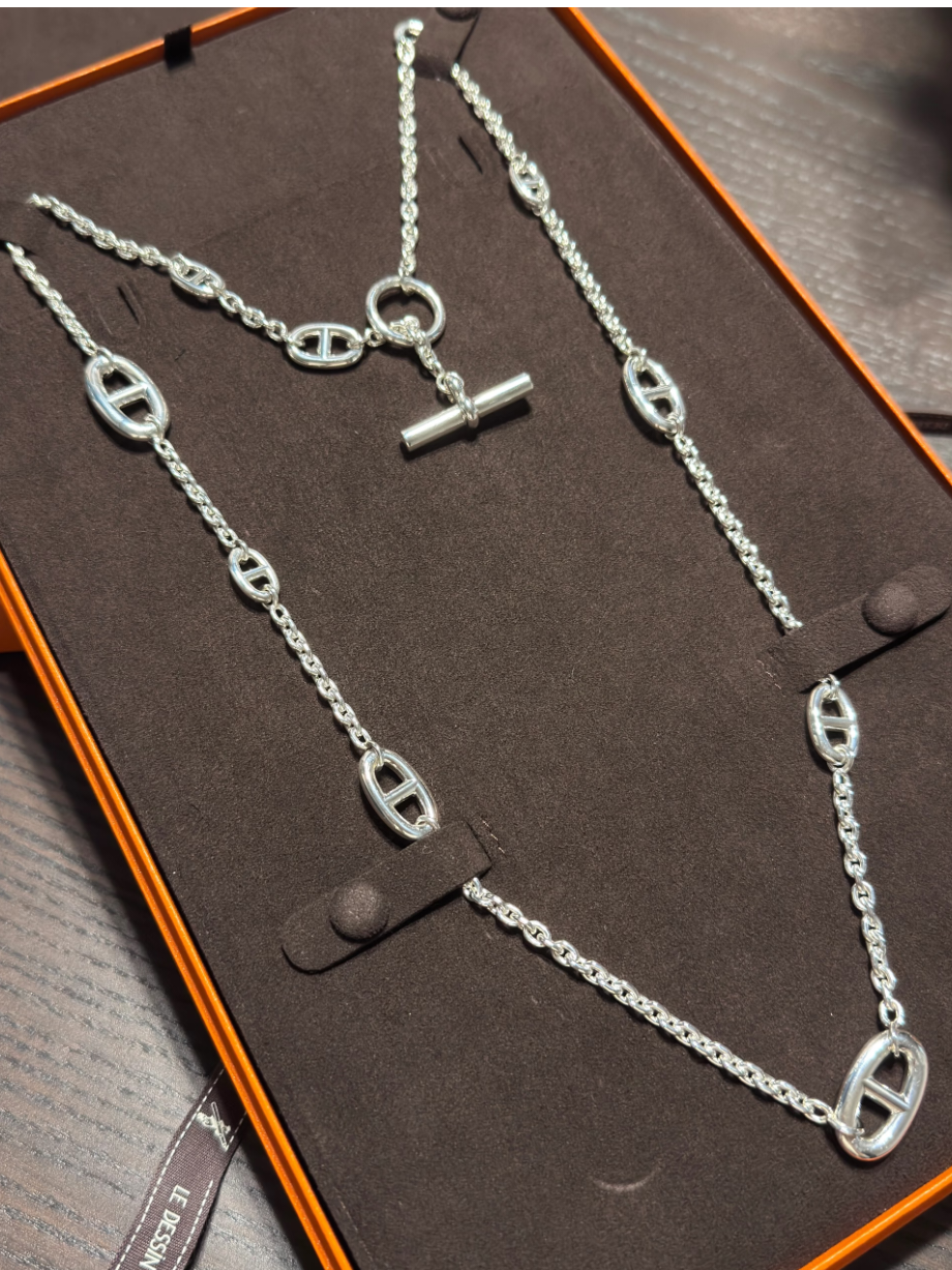 [⭐Aura]Classic Silver Sweater Chain