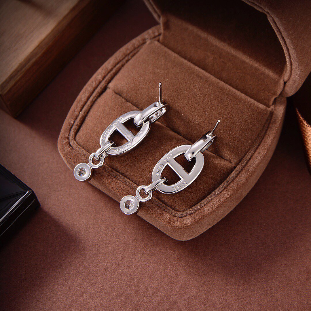 [⭐Aura]HM CHAINE DIAMOND EARRINGS